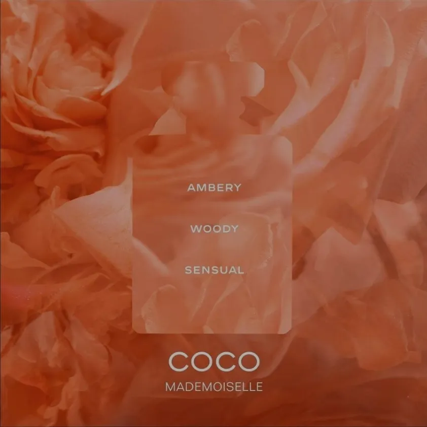 Coco Chanel Mademoiselle INTENSE EDP 100ml - slika 4