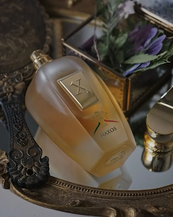 Xerjoff Naxos EDP 100ml - slika 4